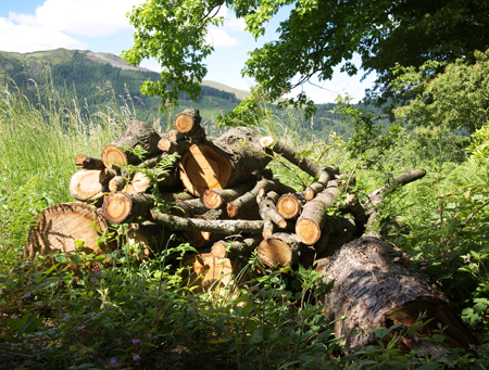 Loading Mirehouse Logs