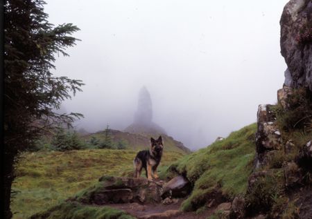 Max & Storr